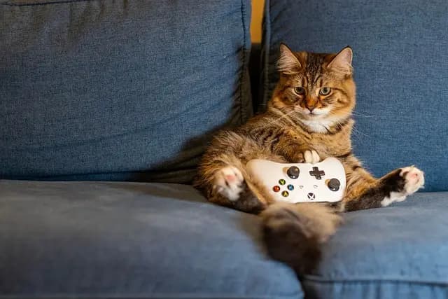 Guide d'achat des meilleurs matériels de jeu